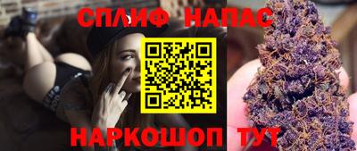jwh Бийск