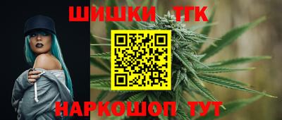 jwh Бийск