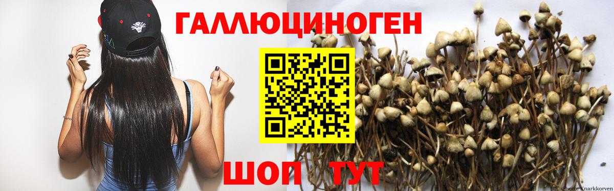 Псилоцибиновые грибы Psilocybine cubensis  Вход с VPN  Псилоцибиновые грибы Psilocybe  Кизилюрт 