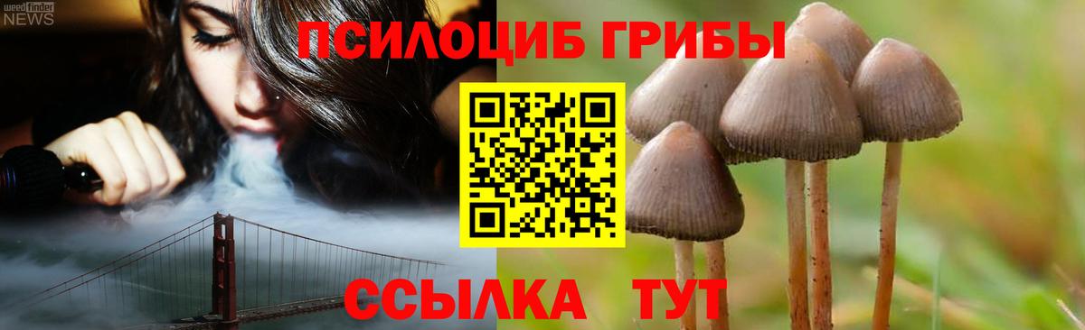 Псилоцибиновые грибы MAGIC MUSHROOMS Кизилюрт