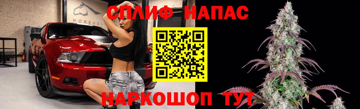 Шишки марихуана план Кизилюрт